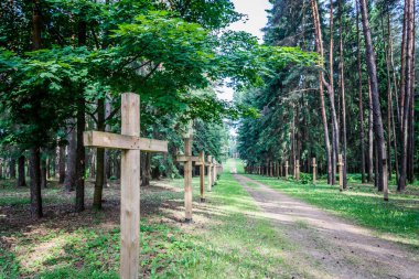 terk edilmiş bir mezarlık bir eski paslı ormanda çapraz