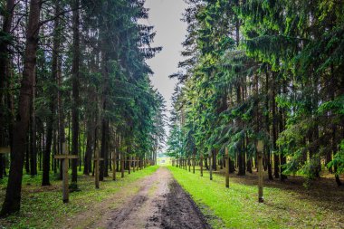 terk edilmiş bir mezarlık bir eski paslı ormanda çapraz