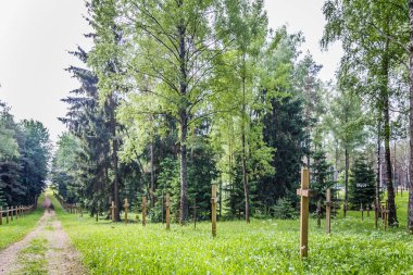 terk edilmiş bir mezarlık bir eski paslı ormanda çapraz