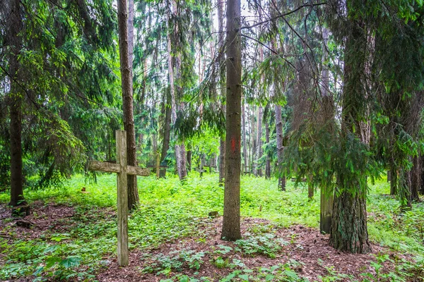 Floresta Cemitério Abandonado Uma Velha Cruz Enferrujada — Fotografia de Stock