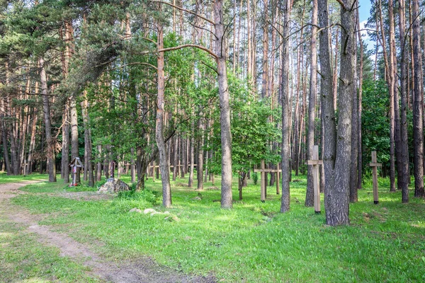 Lesie Opuszczony Cmentarz Stary Zardzewiały Krzyż — Zdjęcie stockowe