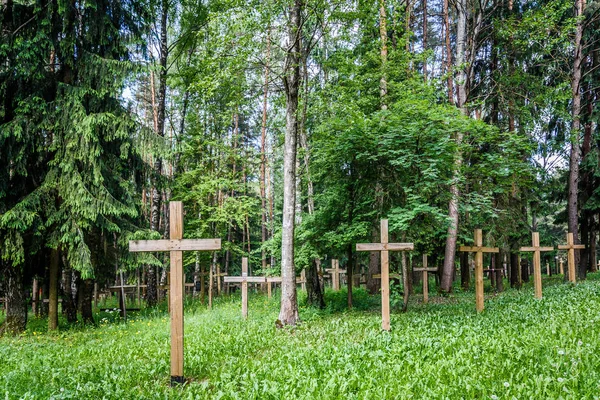 Forest Abandoned Cemetery Old Rusty Cross — Stock Photo, Image