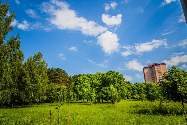 Belo Parque Jardim Árvore Verde Perto Lado Rio — Fotografia de Stock