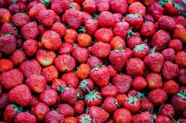 Canlı renkli kırmızı çilek meyve piyasada