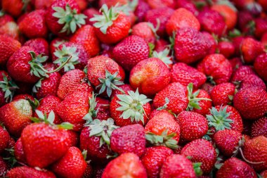 Canlı renkli kırmızı çilek meyve piyasada