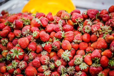 Canlı renkli kırmızı çilek meyve piyasada