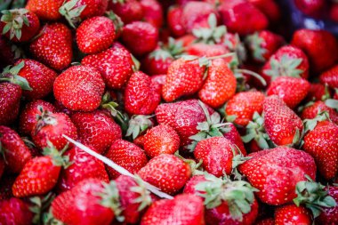 Canlı renkli kırmızı çilek meyve piyasada