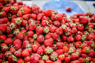 Canlı renkli kırmızı çilek meyve piyasada
