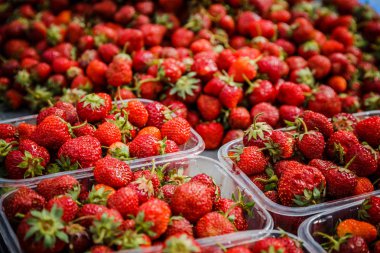 Canlı renkli kırmızı çilek meyve piyasada