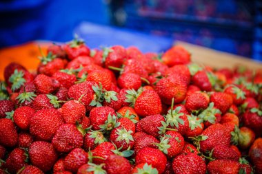 Canlı renkli kırmızı çilek meyve piyasada