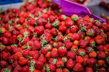 Canlı renkli kırmızı çilek meyve piyasada