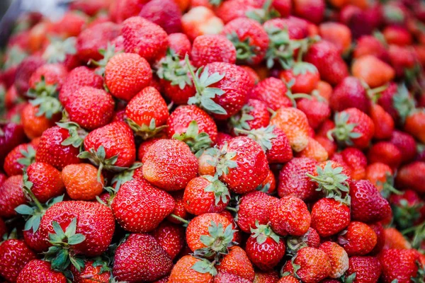 Canlı renkli kırmızı çilek meyve piyasada