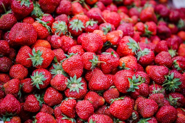 Canlı renkli kırmızı çilek meyve piyasada