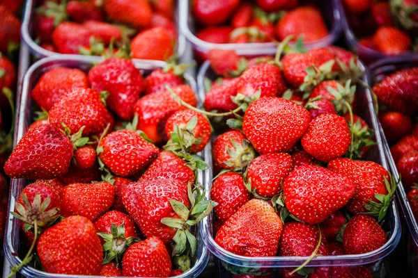 Canlı renkli kırmızı çilek meyve piyasada