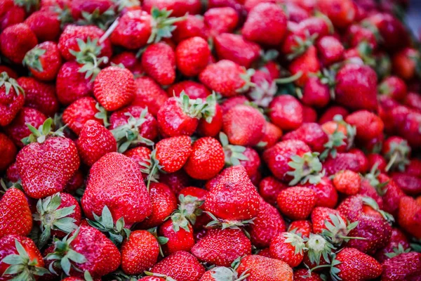 Canlı renkli kırmızı çilek meyve piyasada