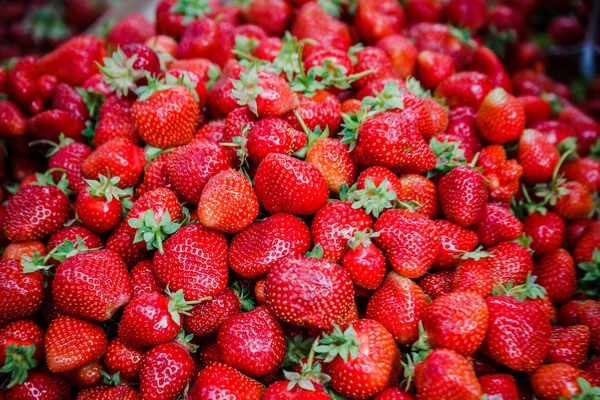 Canlı renkli kırmızı çilek meyve piyasada