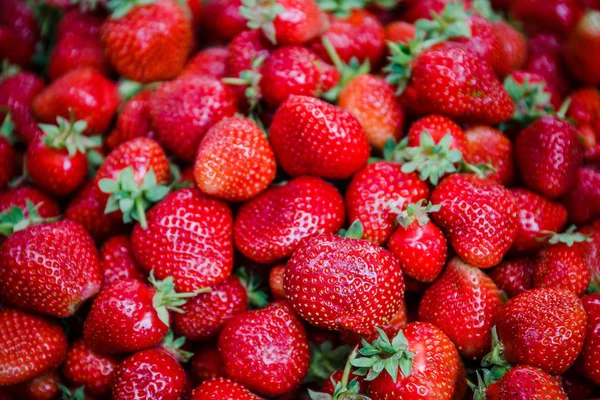 Canlı renkli kırmızı çilek meyve piyasada