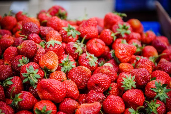 Canlı renkli kırmızı çilek meyve piyasada