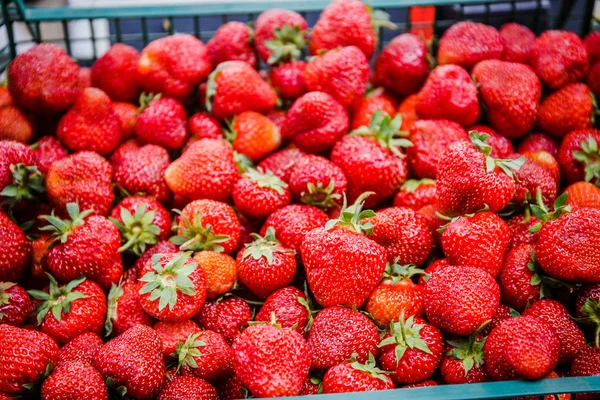 Canlı renkli kırmızı çilek meyve piyasada