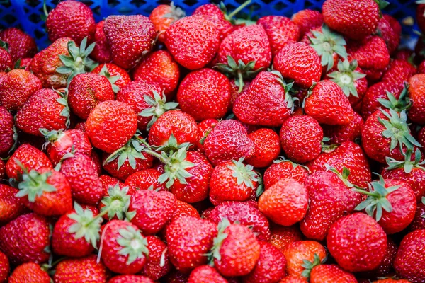 Canlı renkli kırmızı çilek meyve piyasada