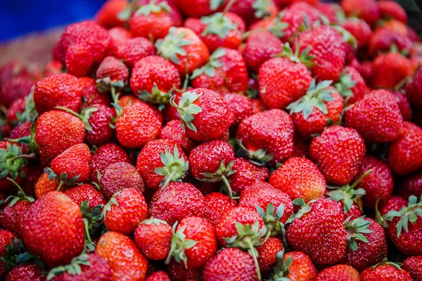 Canlı renkli kırmızı çilek meyve piyasada