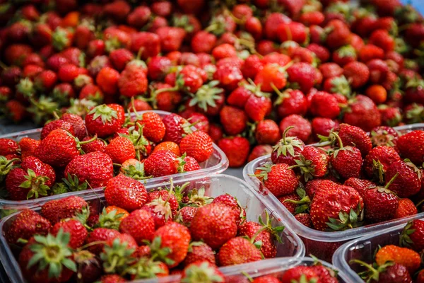 Canlı renkli kırmızı çilek meyve piyasada