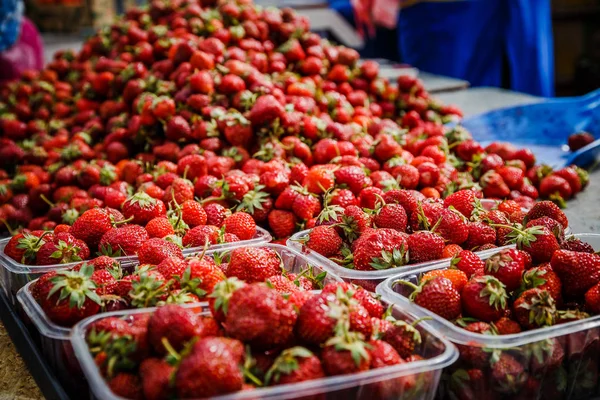 Canlı renkli kırmızı çilek meyve piyasada