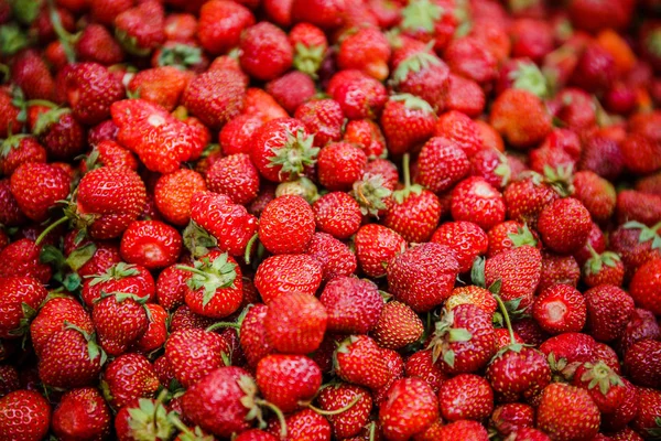 Canlı renkli kırmızı çilek meyve piyasada