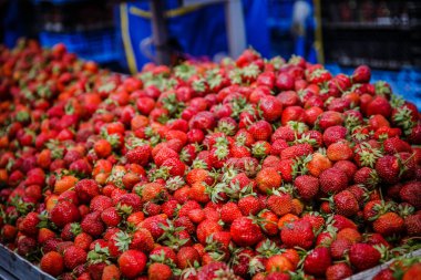 Canlı renkli kırmızı çilek meyve piyasada