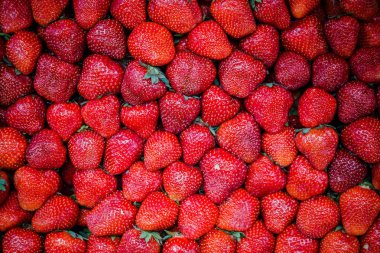 Canlı renkli kırmızı çilek meyve piyasada