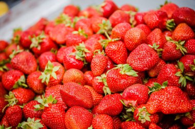 Canlı renkli kırmızı çilek meyve piyasada