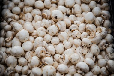 Petrol piyasasında kutularındaki mantar