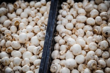 Petrol piyasasında kutularındaki mantar