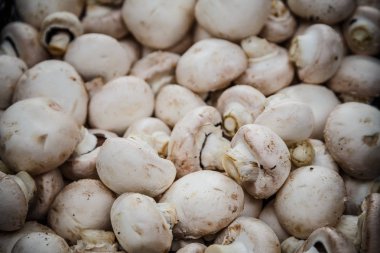 Petrol piyasasında kutularındaki mantar