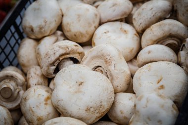 Petrol piyasasında kutularındaki mantar