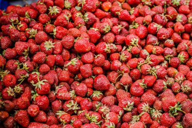 Canlı renkli kırmızı çilek meyve piyasada