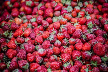 Canlı renkli kırmızı çilek meyve piyasada