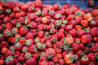 Canlı renkli kırmızı çilek meyve piyasada