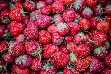 Canlı renkli kırmızı çilek meyve piyasada