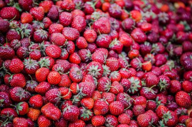 Canlı renkli kırmızı çilek meyve piyasada