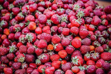 Canlı renkli kırmızı çilek meyve piyasada