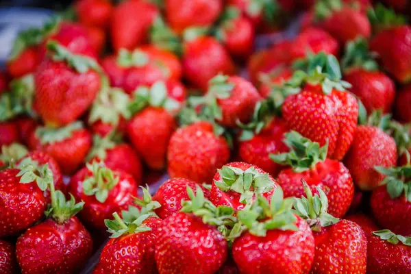 Canlı renkli kırmızı çilek meyve piyasada