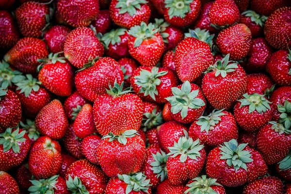 Canlı renkli kırmızı çilek meyve piyasada