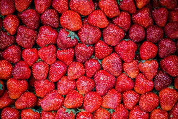 Canlı renkli kırmızı çilek meyve piyasada