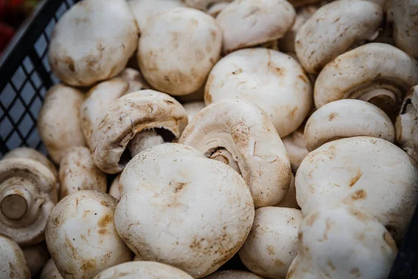 Petrol piyasasında kutularındaki mantar