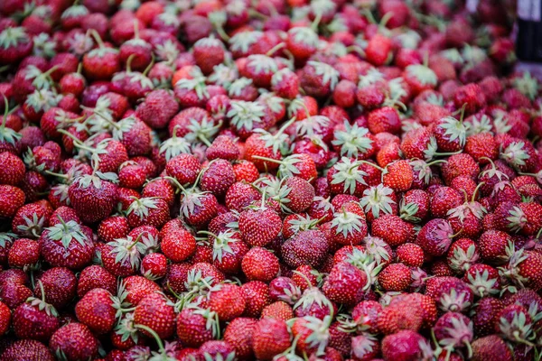 Canlı renkli kırmızı çilek meyve piyasada