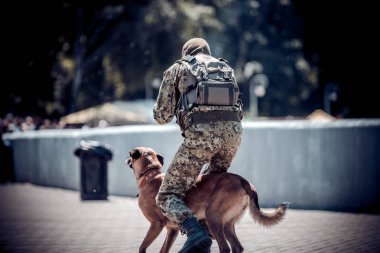 Minsk, Beyaz Rusya - 1 Mayıs 2017: Üniformalı asker elinde bir silahla çoban köpeği bir suçlu ayarlar.