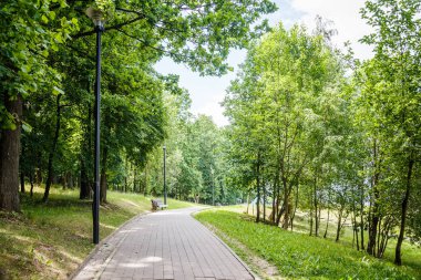 Ağaçlar ve geçit Park yeşil çim sahada