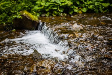 Moss akan nehir su taş kaplı