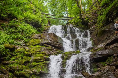 Şelale orman içinde. Şelale Shipot, Transcarpathia, Ukrayna